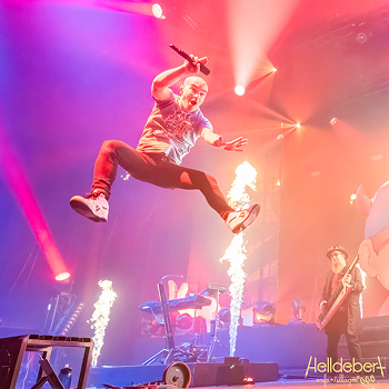 WhatsApp Image 2025-11-03 à 10.01.09_094bb8ae